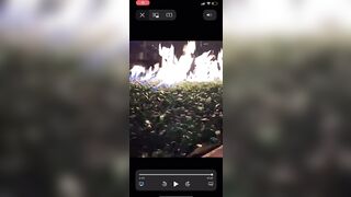 Booty Clapping: Mya Curvz clapping them cheeks #4