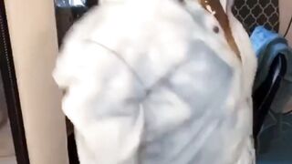 Ass Claping: Kriss Supabad Clap Comp. #3