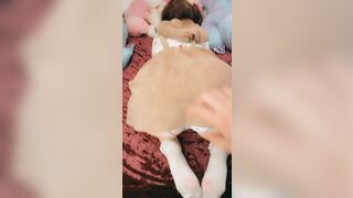 Do you like the little unicron panties on my PAWG ASS! 18 years old Abriebaby