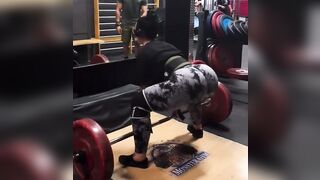 Fitness Butts: Thickfrenchie 2 #2