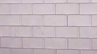 Big Donkey Booties: All day... #3