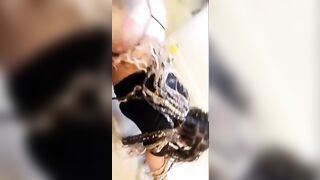 Big Donkey Booties: The way baby move! #3